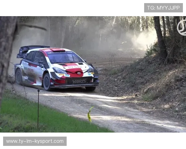 WRC德国赛：多弯道中的速度与策略较量，wtcr2021德国站