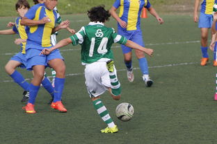 柔佛新山展示强大进攻，上海申花未能守住客场优势，我的世界1.7.10怎么给别人管理员